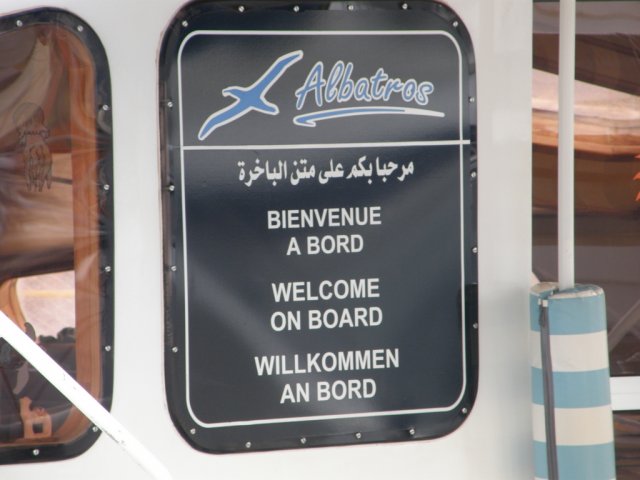 pisarna albatrosa v tuniziji
